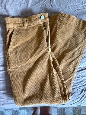 Everlane Men's Corduroy Pants in Tan Brown